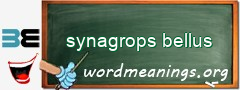 WordMeaning blackboard for synagrops bellus